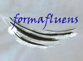 FORUM FORMAFLUENS – Venerdì 21 ottobre 2022 – ore 16.30-19.00